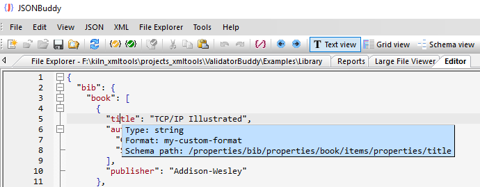 JSONBuddy for Windows editor assistance showing the custom format name my-custom-format for a JSON property