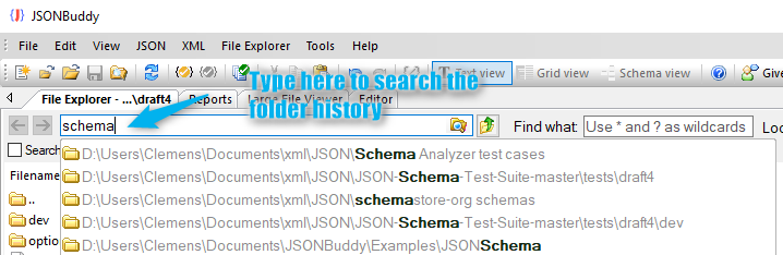 JSONBuddy for Windows File Explorer showing a search field and recent JSON folder history