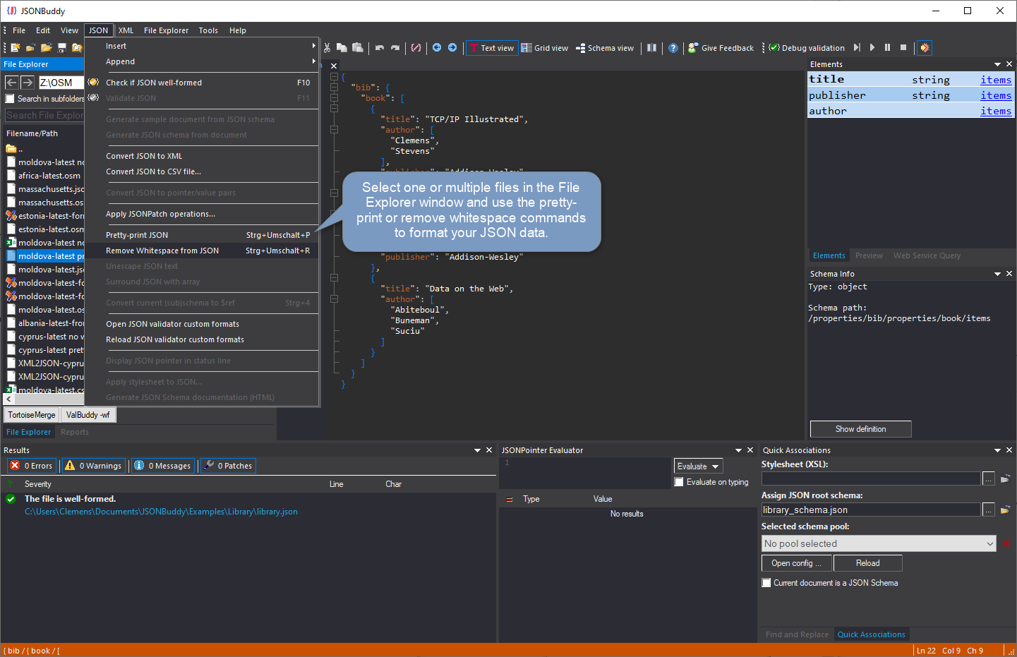 JSONBuddy Help screenshot showing a large JSON file selected for pretty-printing or whitespace removal